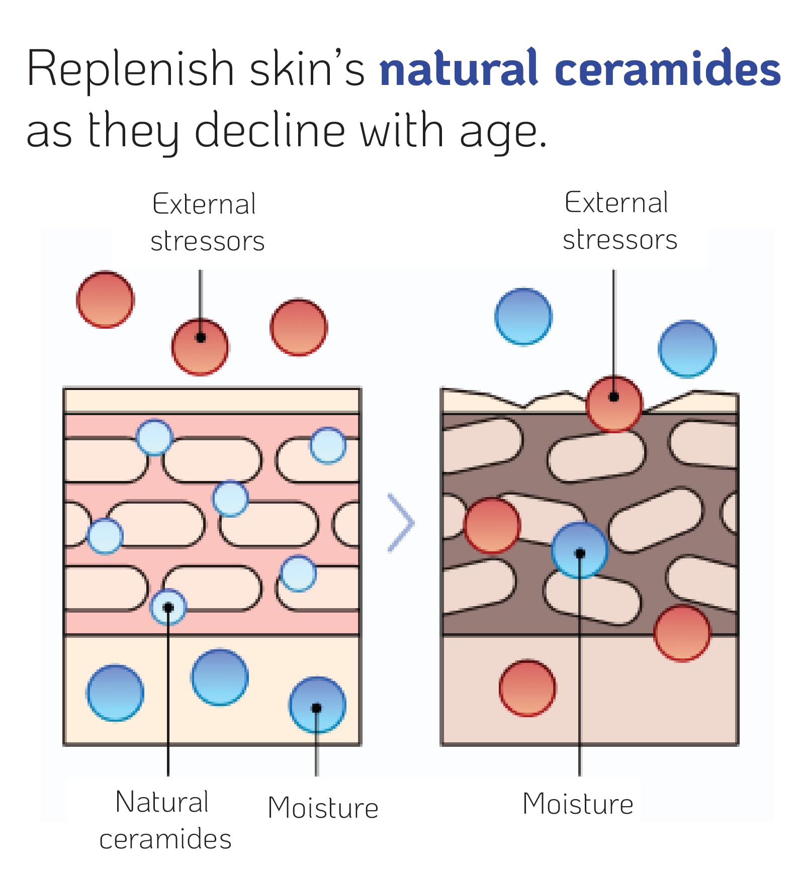 Nano Recipe ceramida con textura ligera y rápida absorción