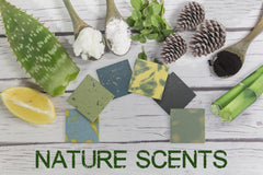 NATURAL AMERICAN ELEMENTS – hydratation quotidienne, peau plus souple et nourrie