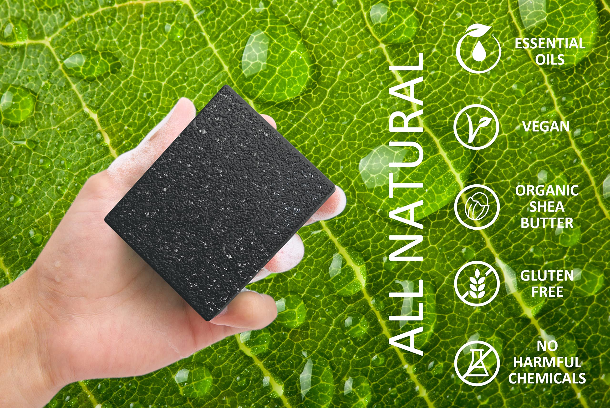 NATURAL AMERICAN ELEMENTS – senteurs pin et aloe vera pour une expérience masculine rafraîchissante