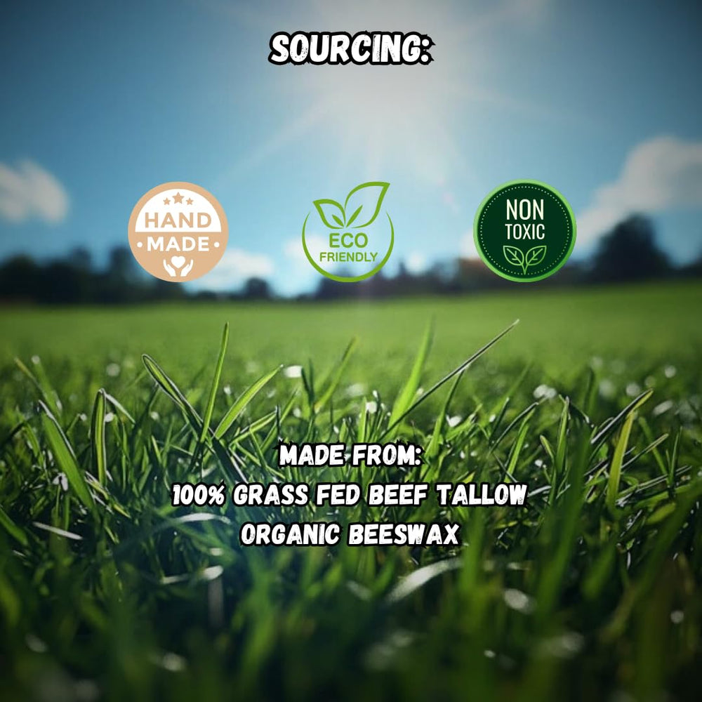 Natural Organic Storefront Beef Tallow Lip Balm four-pack in-use scene supports daily moisture.