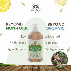 Nature Sustained Champú Natural Original, saponina natural para limpieza suave.