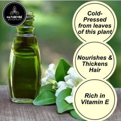 Naturevibe Bhringraj para cabello sano y brillante