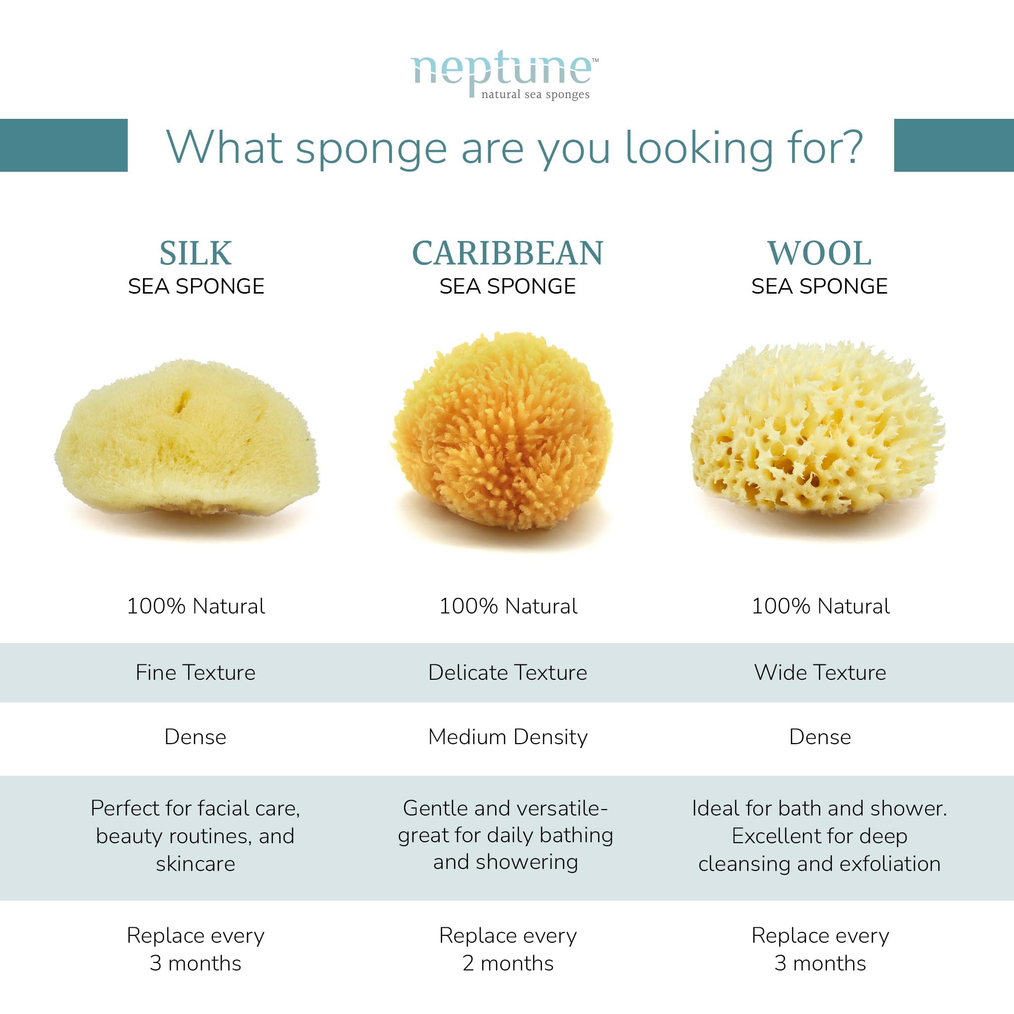 Esponja Neptune Mar Caribe, material sostenible y alta absorción.
