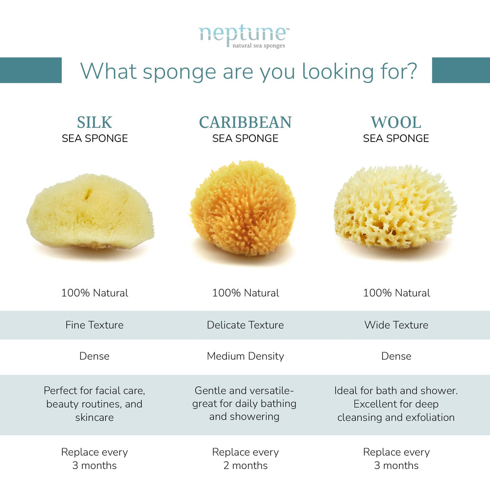 Esponja Neptune Mar Caribe, material sostenible y alta absorción.