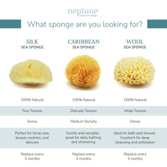 Esponja Neptune Mar Caribe, material sostenible y alta absorción.