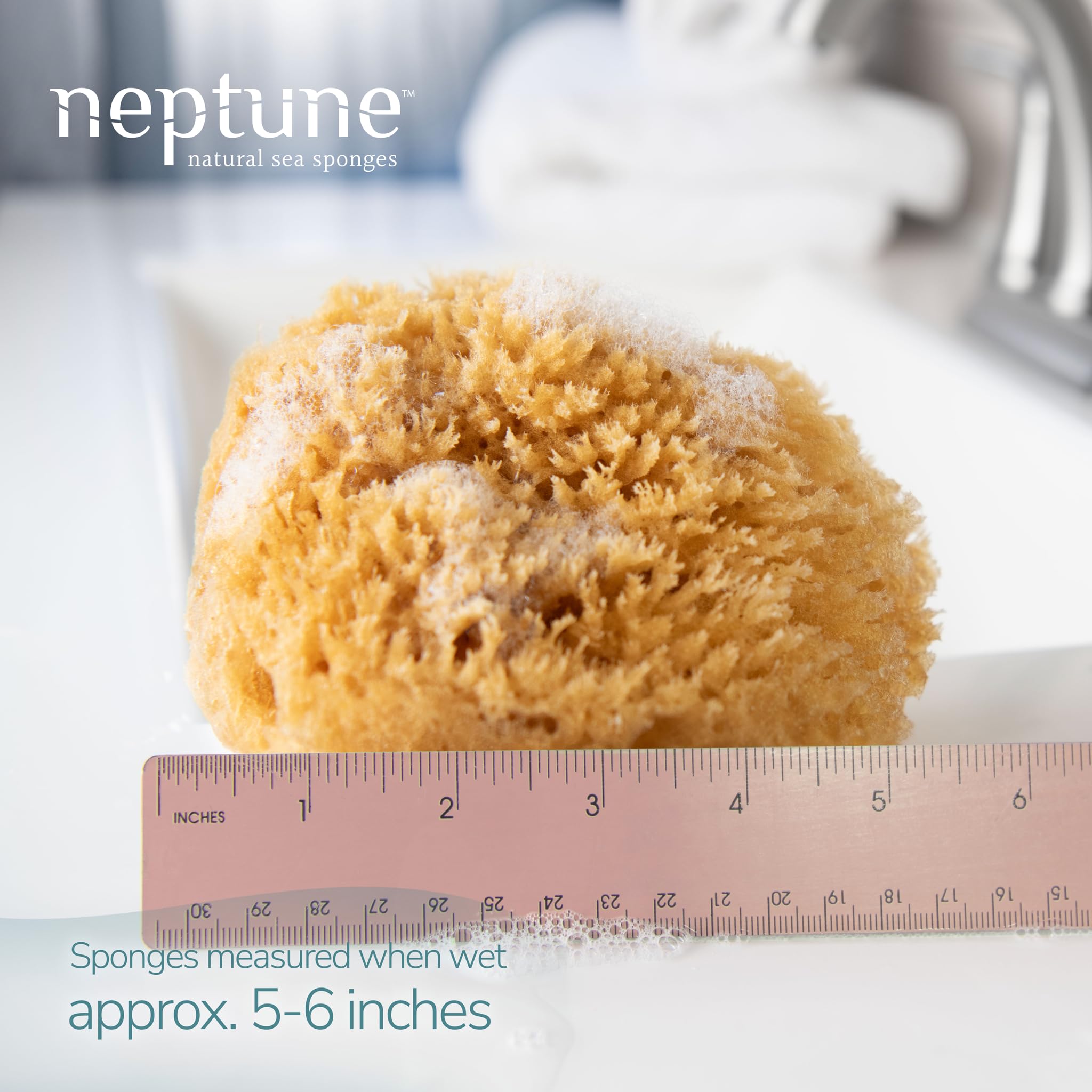 Esponja Neptune Mar Caribe muestra textura suave, ideal para limpieza diaria.