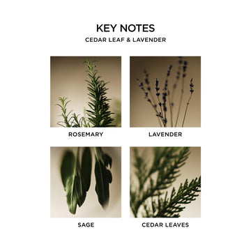 NEST New York Jabón Líquido gotas aromáticas que perfuman y cuidan la piel