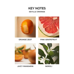 Nest New York Aceite Jazmín Indio: fragancia suave para cuello y brazos.