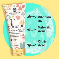 Dúo de Nuva Botanicals Bond Repair: champú y acondicionador para cabello seco y frágil.