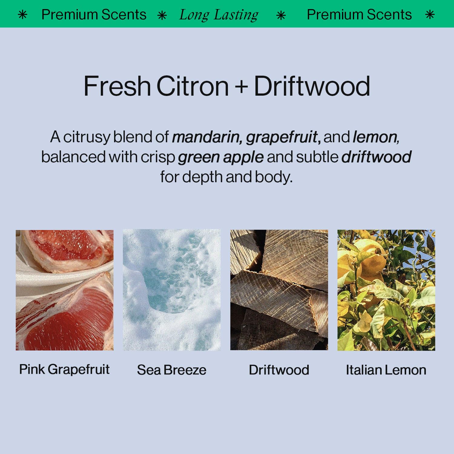 OffCourt fragancia: notas cítricas y madera flotante para aroma fresco