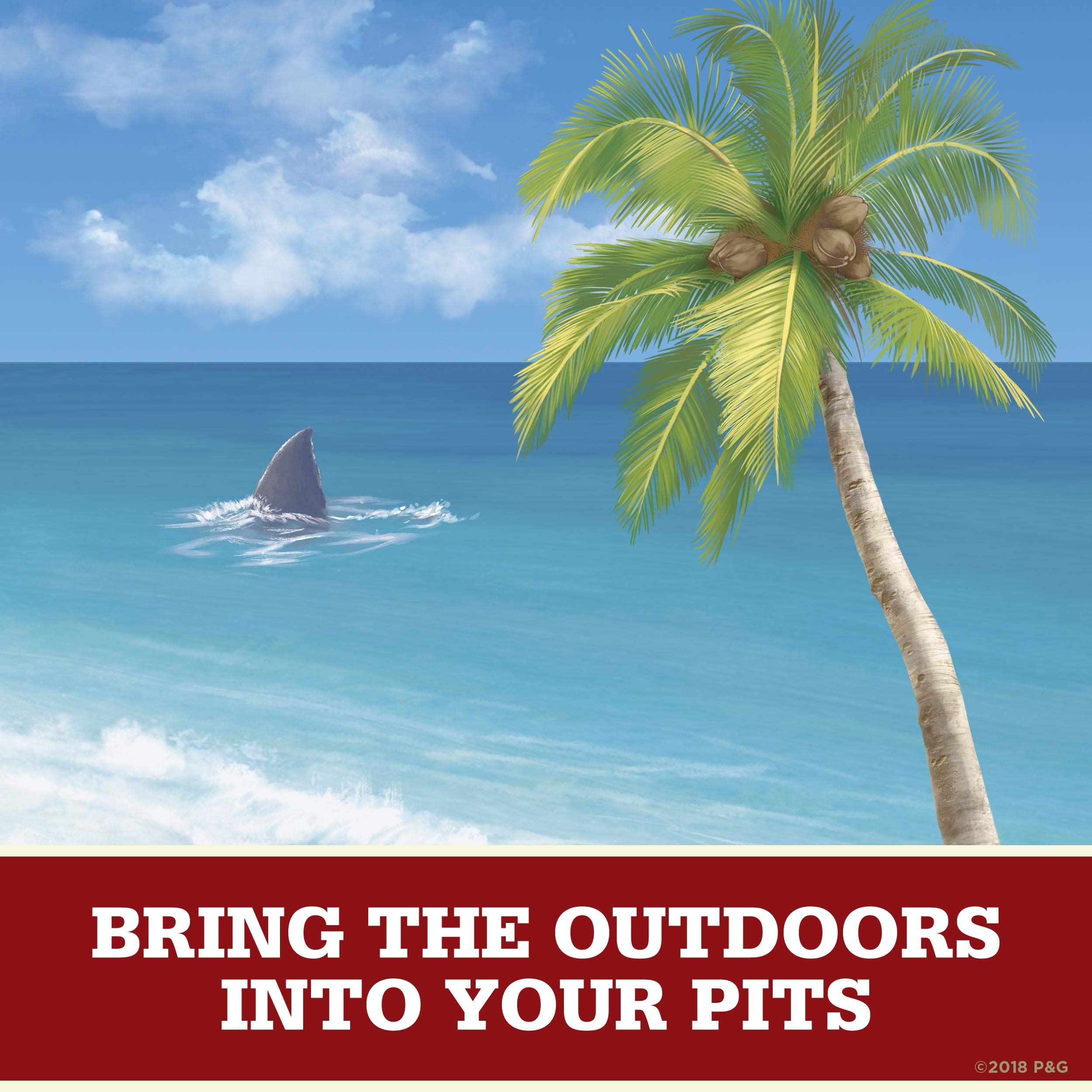 Old Spice Fiji Palma aroma tropical, ideal tras entreno.