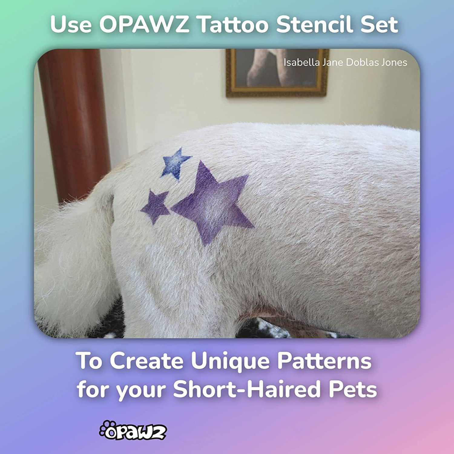 OPAWZ diseños de tatuaje para perros para looks temporales.