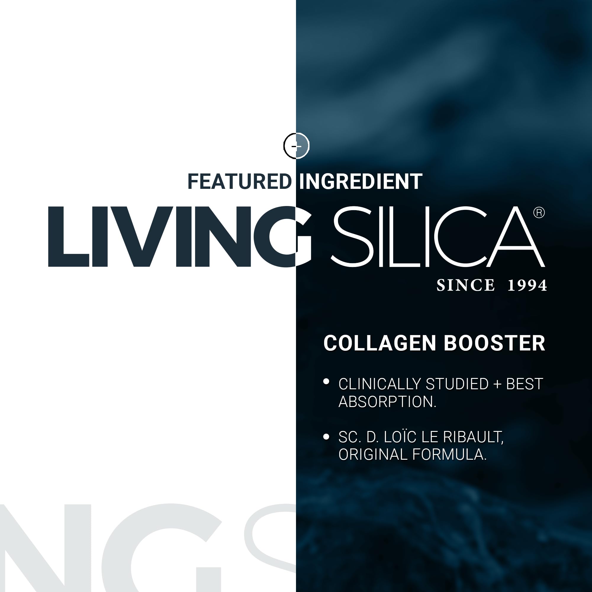 Orgono Living Silica textura suave facilita la aplicación diaria.