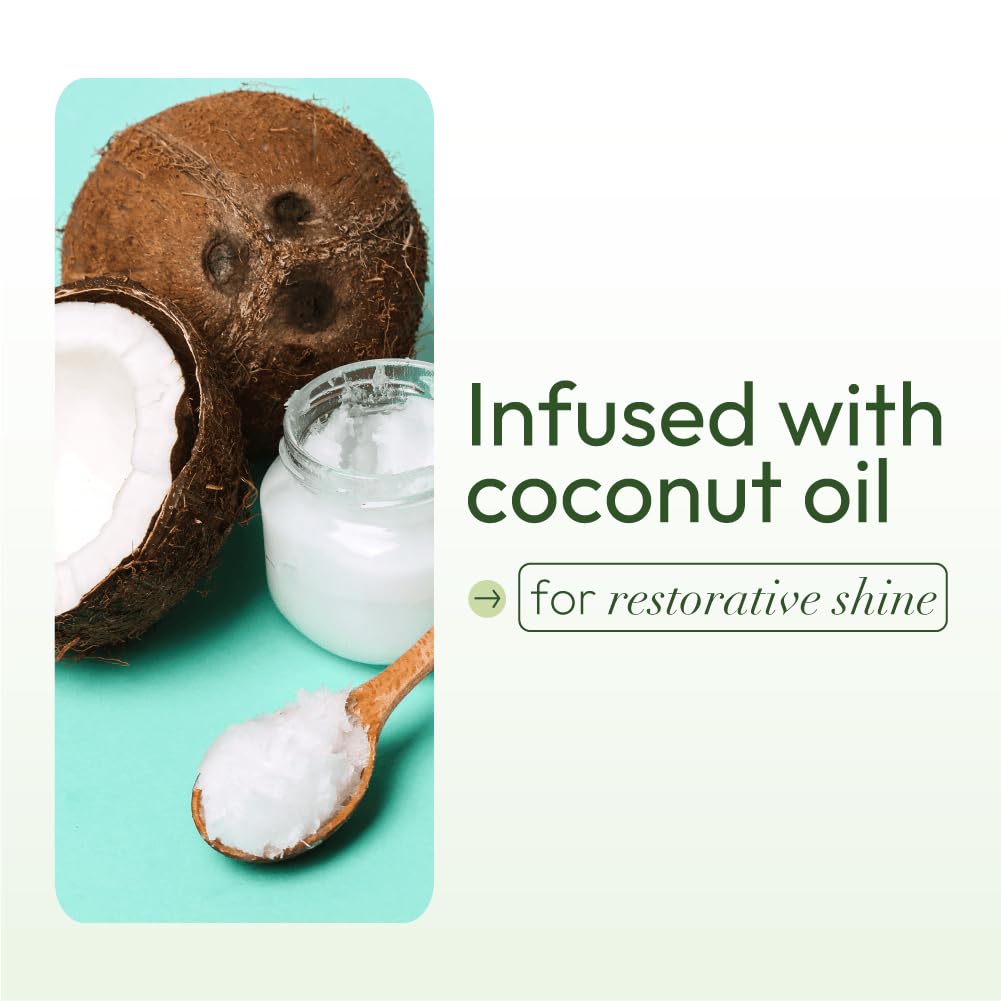Con ORS, aceite de oliva y coco cuida el cabello