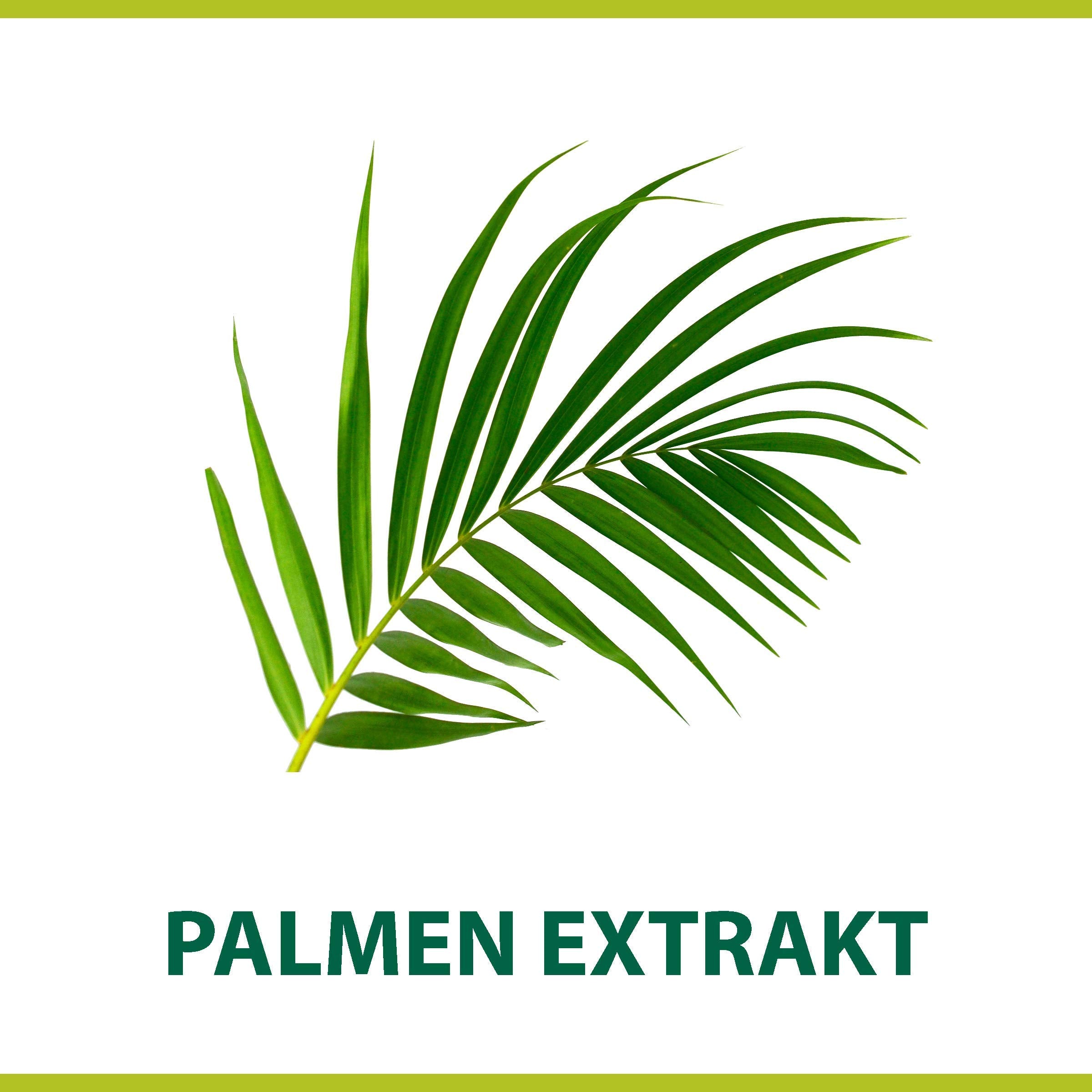 Aplicación en la barba con Palmolive para un afeitado uniforme.
