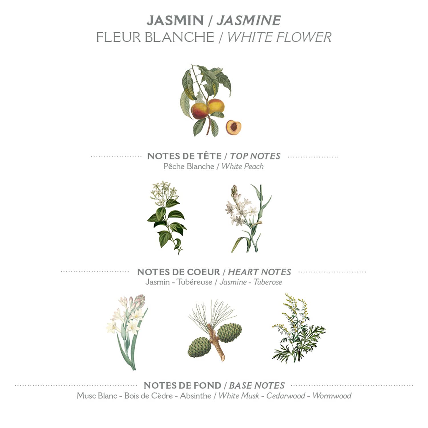 Panier des Sens Jasmin crema de manos con aceite de almendra aporta suavidad