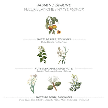 Panier des Sens Jasmin crema de manos con aceite de almendra aporta suavidad
