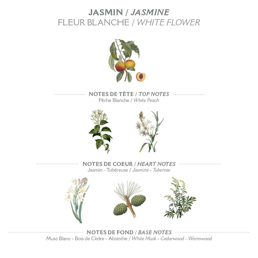 Panier des Sens Jasmin crema de manos con aceite de almendra aporta suavidad