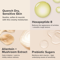 Paula's Choice CALM crema rostro en bote, ayuda a reducir enrojecimiento de forma suave.