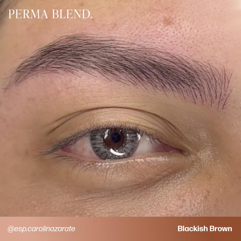 Perma Blend kit cejas delineado ojo, buena adherencia y pigmentación estable.