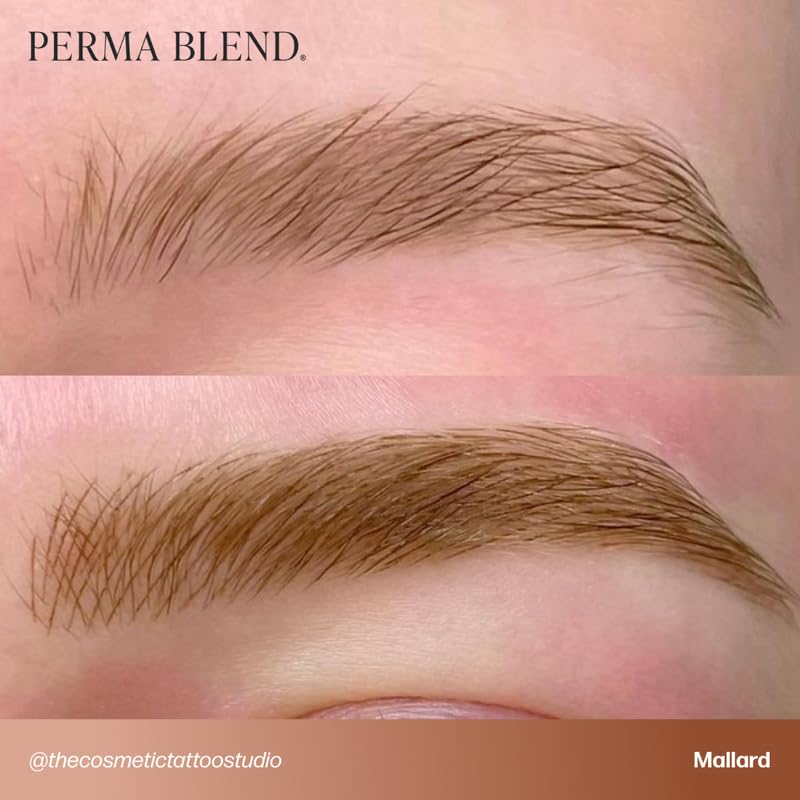 Perma Blend kit cejas tono frío mezclable, permite tonos personalizados.