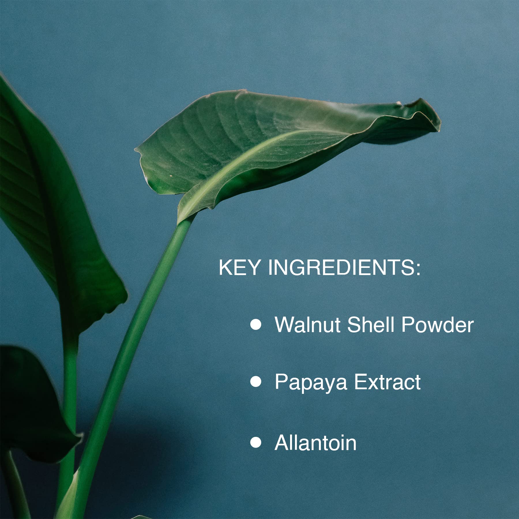 Pharmagel Enzyme Ex-Cell, peau lumineuse après rinçage.