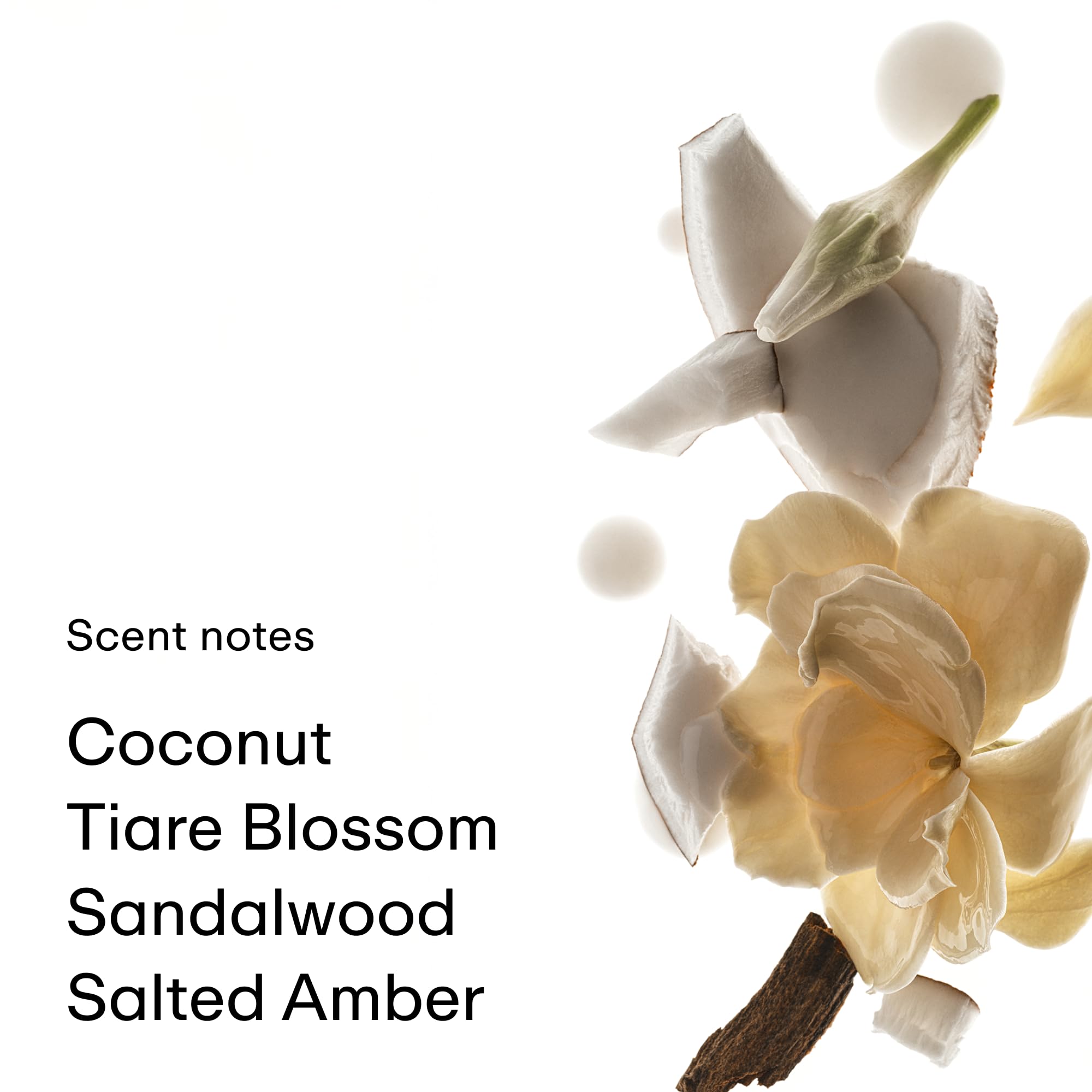 PHLUR Bruma Coco Piel muestra notas aromáticas de coco y caramelo