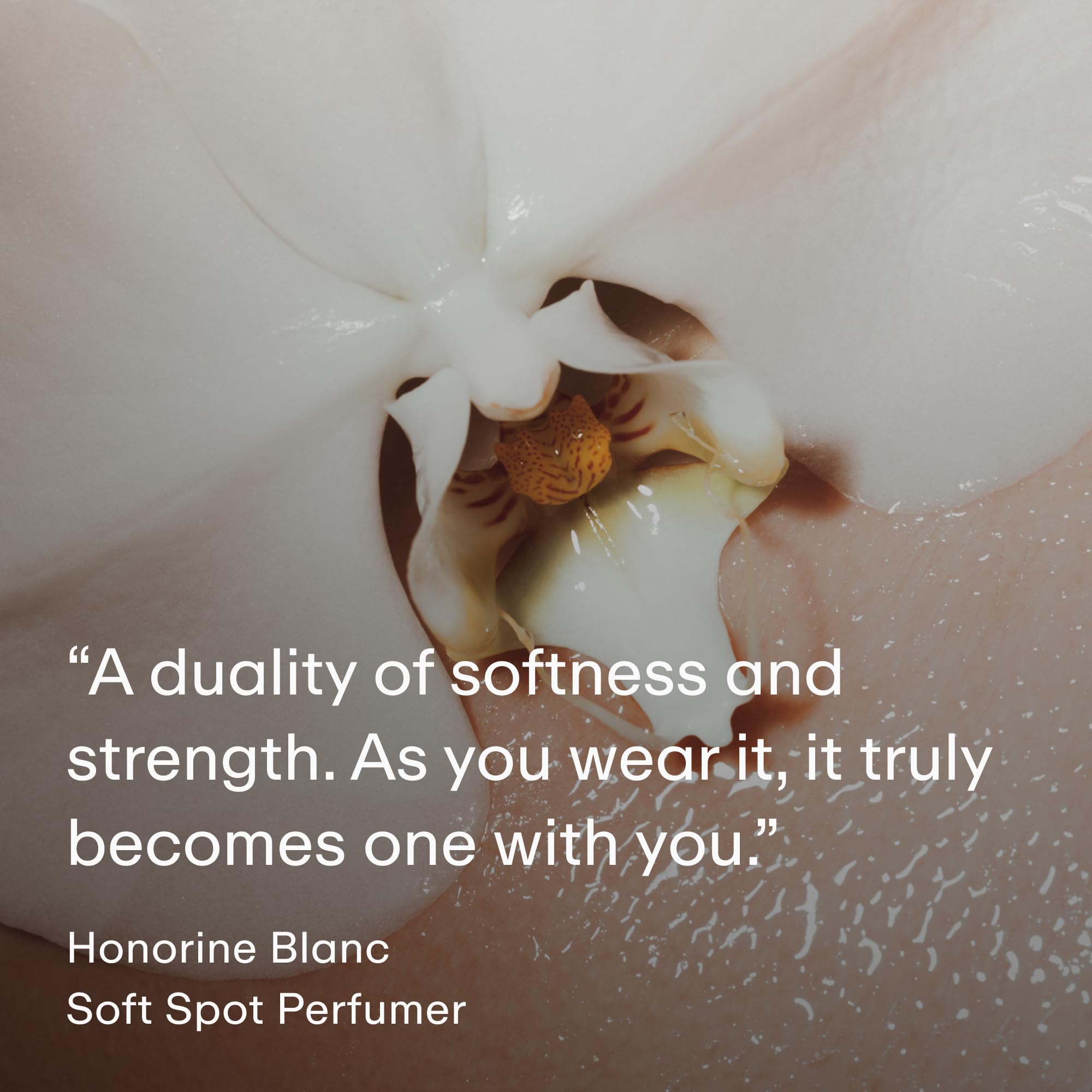 PHLUR Soft Spot, notas olfativas de bergamota y mandarina para inicio fresco