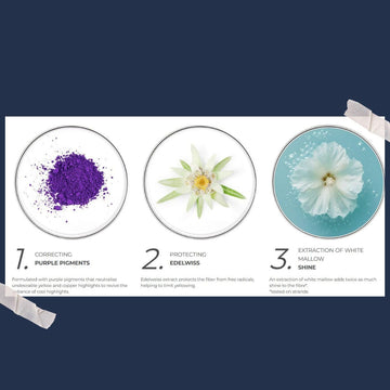PHYTO Purple Shampoing, lumière-froide, contribue à des reflets froids plus nets.