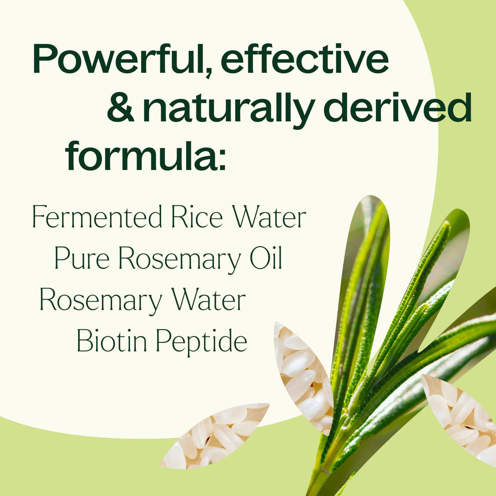 Plant Therapy fórmula fermentada de arroz para cuidado capilar nutritivo