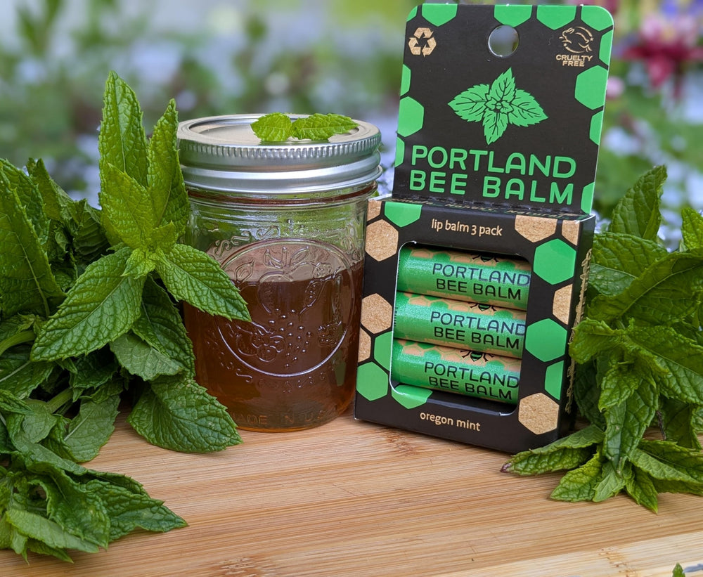 Portland Bee Balm envase con tapa, higiene y comodidad