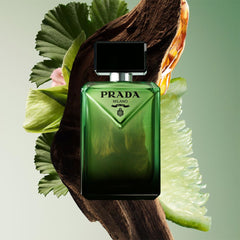 Prada Paradigme: notas amaderadas en frasco, personalidad elegante para días.