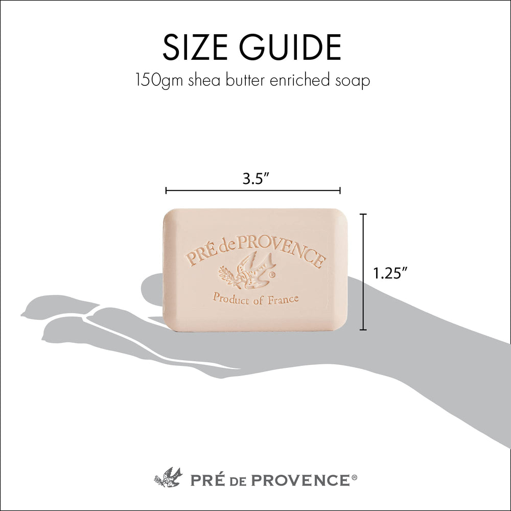 Pre de Provence jabón barra 150 gramos, tamaño tradicional para baño diario