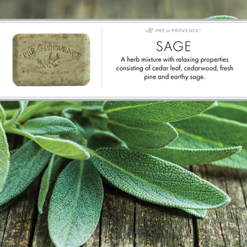 Pre de Provence fragancia lujosa: aroma envolvente para una experiencia sensorial diaria.