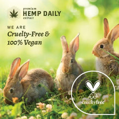 Rosehips et hydratation durable dans la Crème Hemp Extract Daily pour usage quotidien.