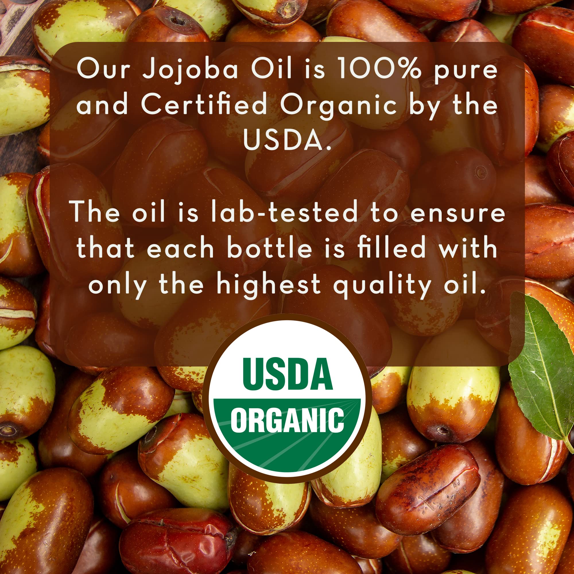 Aceite de Jojoba Pure Body Naturals con gotero de vidrio para uso directo en piel y cabello.