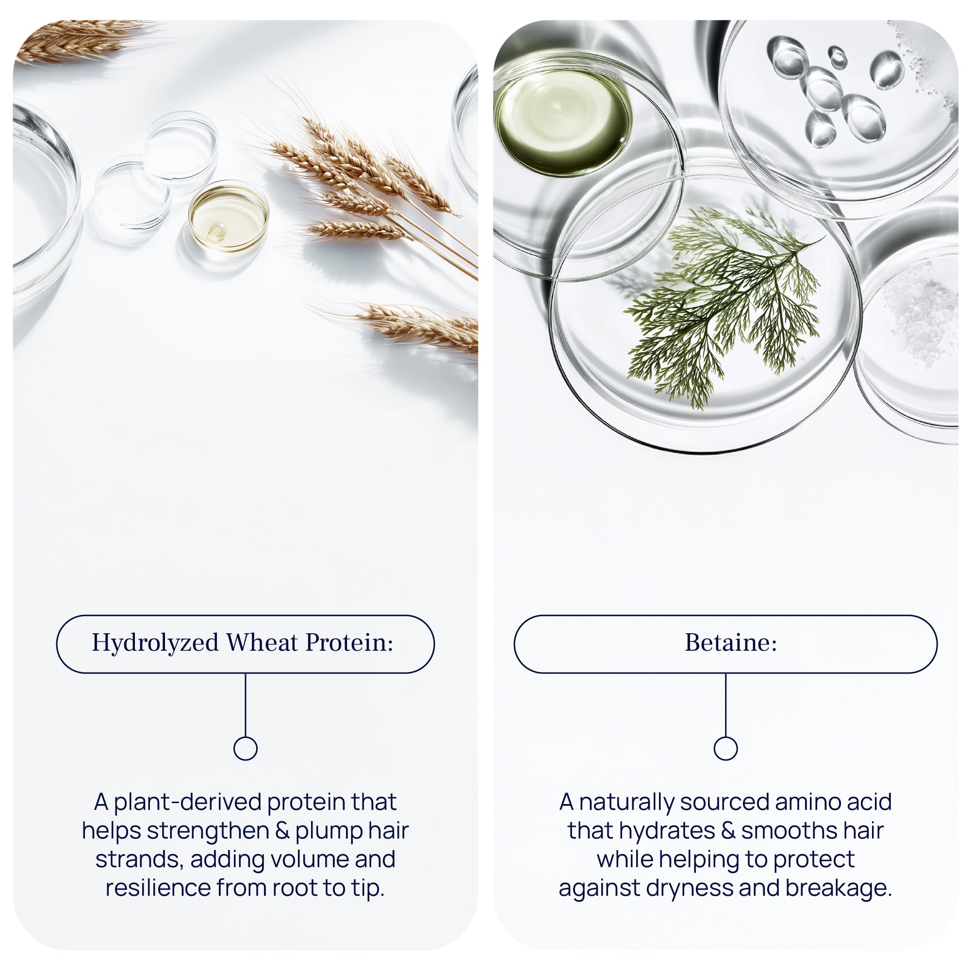 Pureance Hydralift: ingredientes botánicos y proteína de trigo que nutren sin recargar.