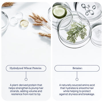Pureance Hydralift: ingredientes botánicos y proteína de trigo que nutren sin recargar.