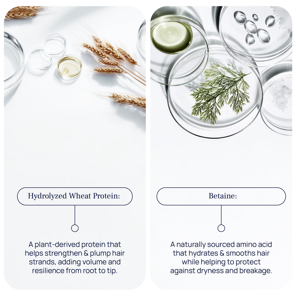 Pureance Hydralift: ingredientes botánicos y proteína de trigo que nutren sin recargar.