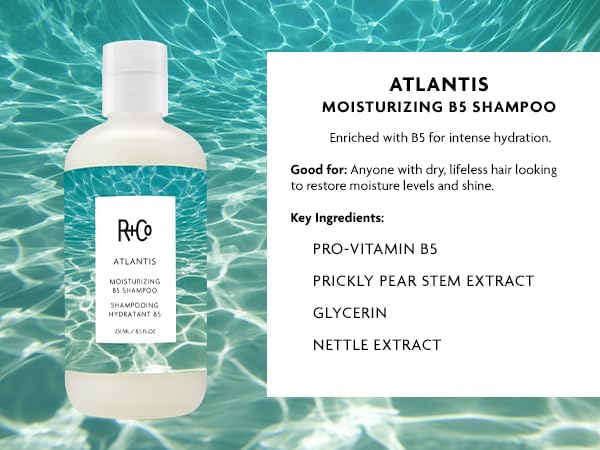 R+Co Atlantis acondicionador botella: desenreda y suaviza el cabello