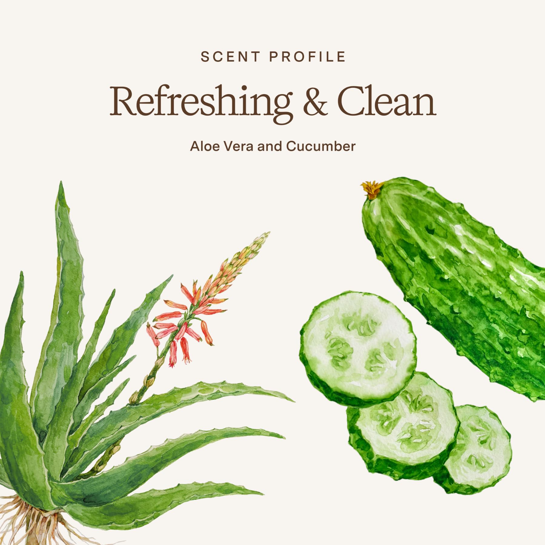 Rahua champú de aloe vera, detalle de botella, diseño natural y uso cómodo