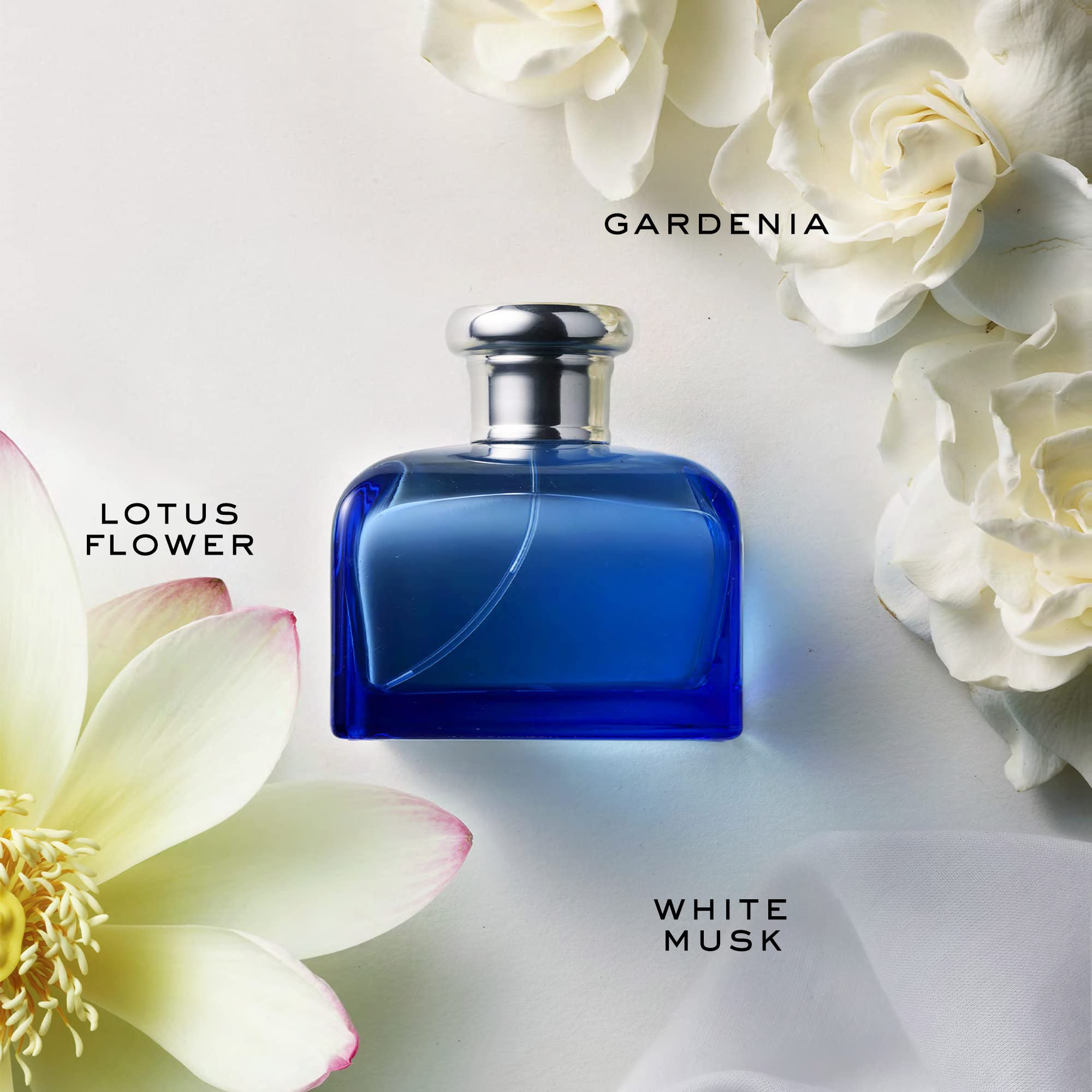 Ralph Lauren Blue, tapa plateada con monograma, toque elegante para ocasiones