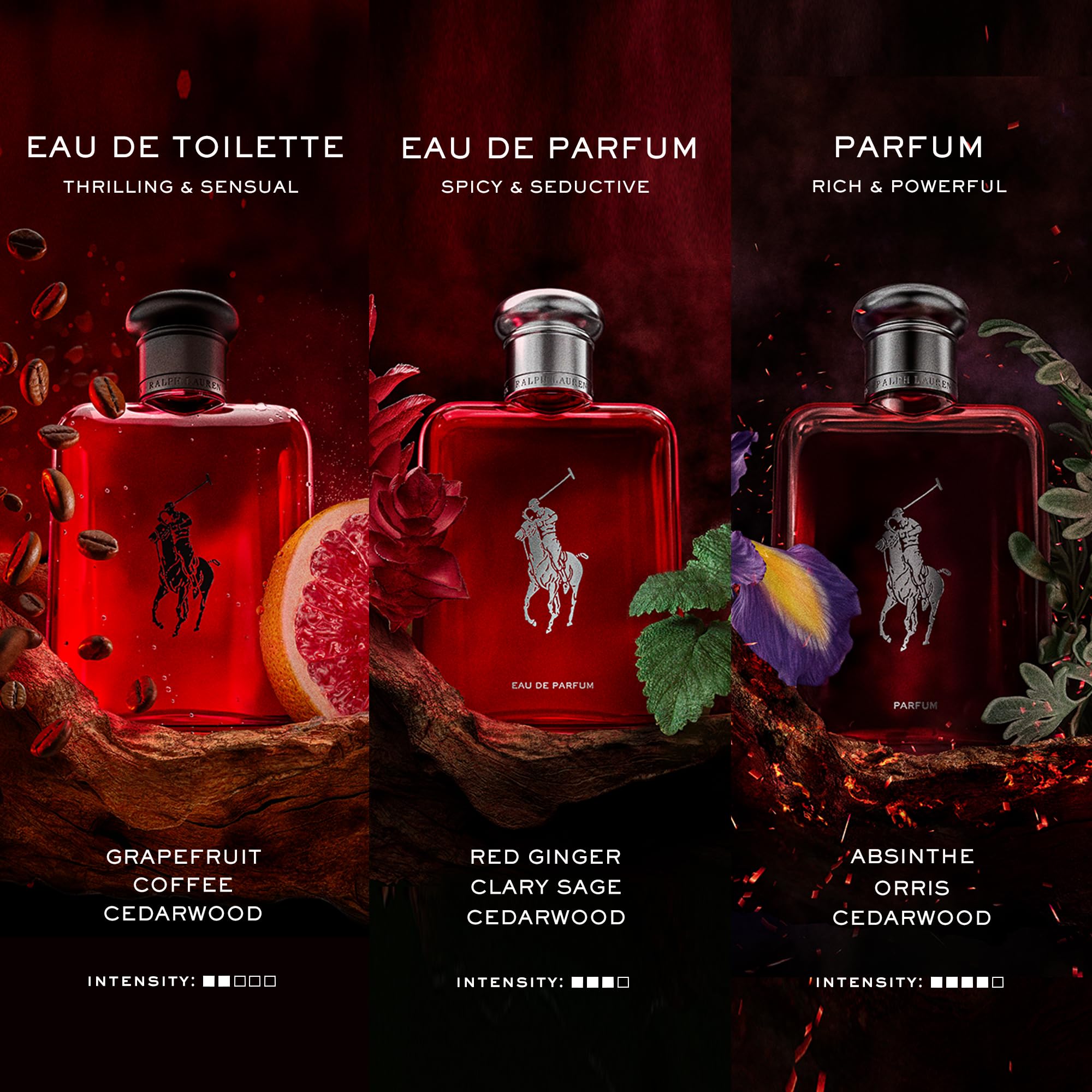 Polo Red: café sedoso como acorde de energía para días activos.