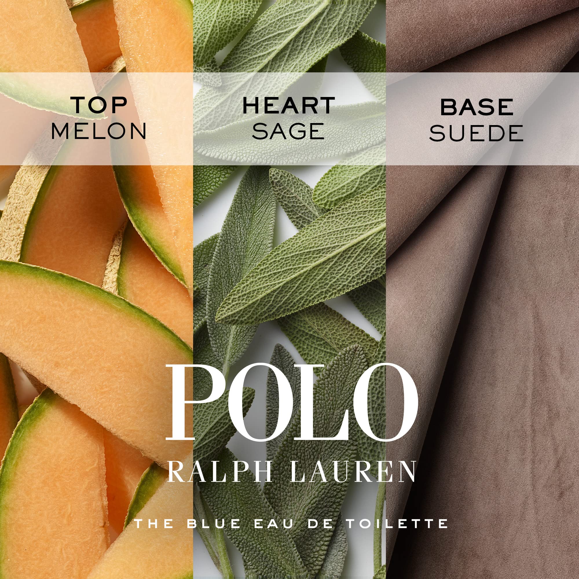 Presentación elegante Polo Blue para hombre, ideal para viaje