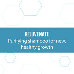 REGENEPURE DR Shampoo etiqueta detallada con ingredientes clave