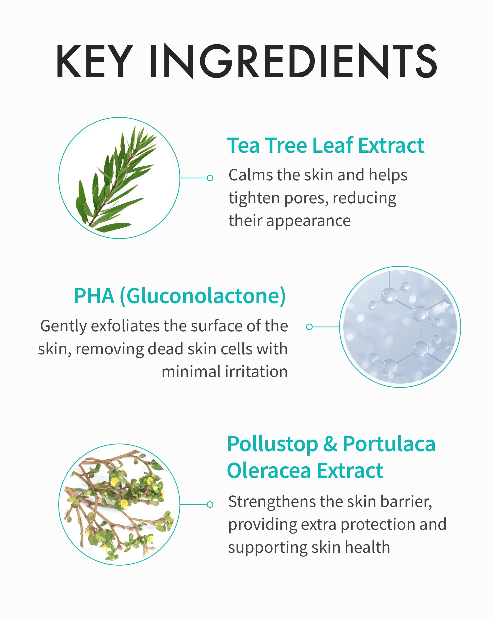 Extracto de esperma de salmón en REJURAN Toner aporta nutrición cutánea.
