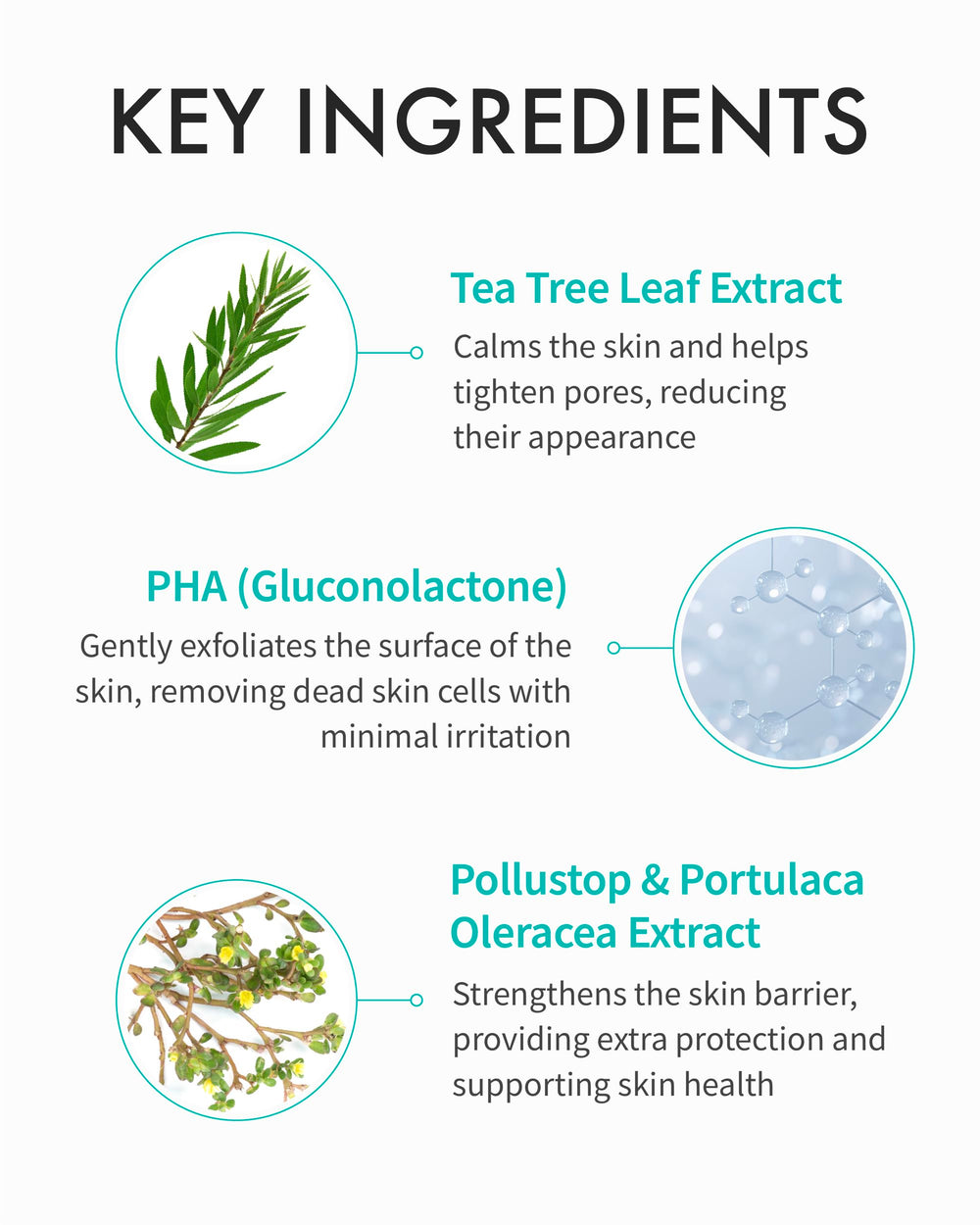 Extracto de esperma de salmón en REJURAN Toner aporta nutrición cutánea.