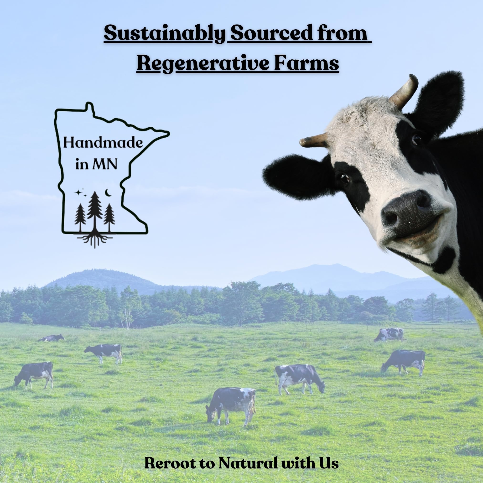 Reroot Organics baume au suif de boeuf rituel quotidien — usage polyvalent