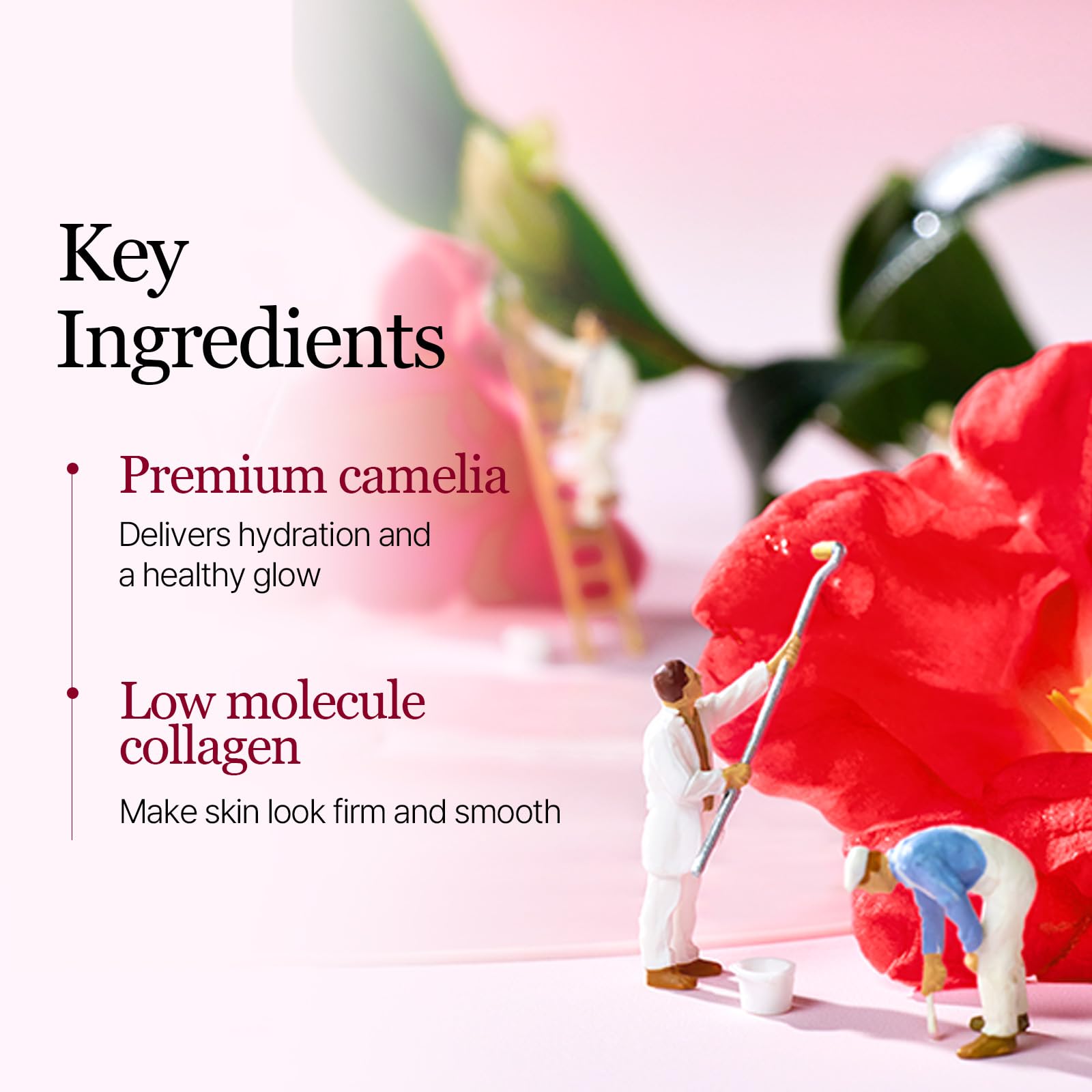 ROUND LAB Camellia Collagen Mask absorción rápida al contacto