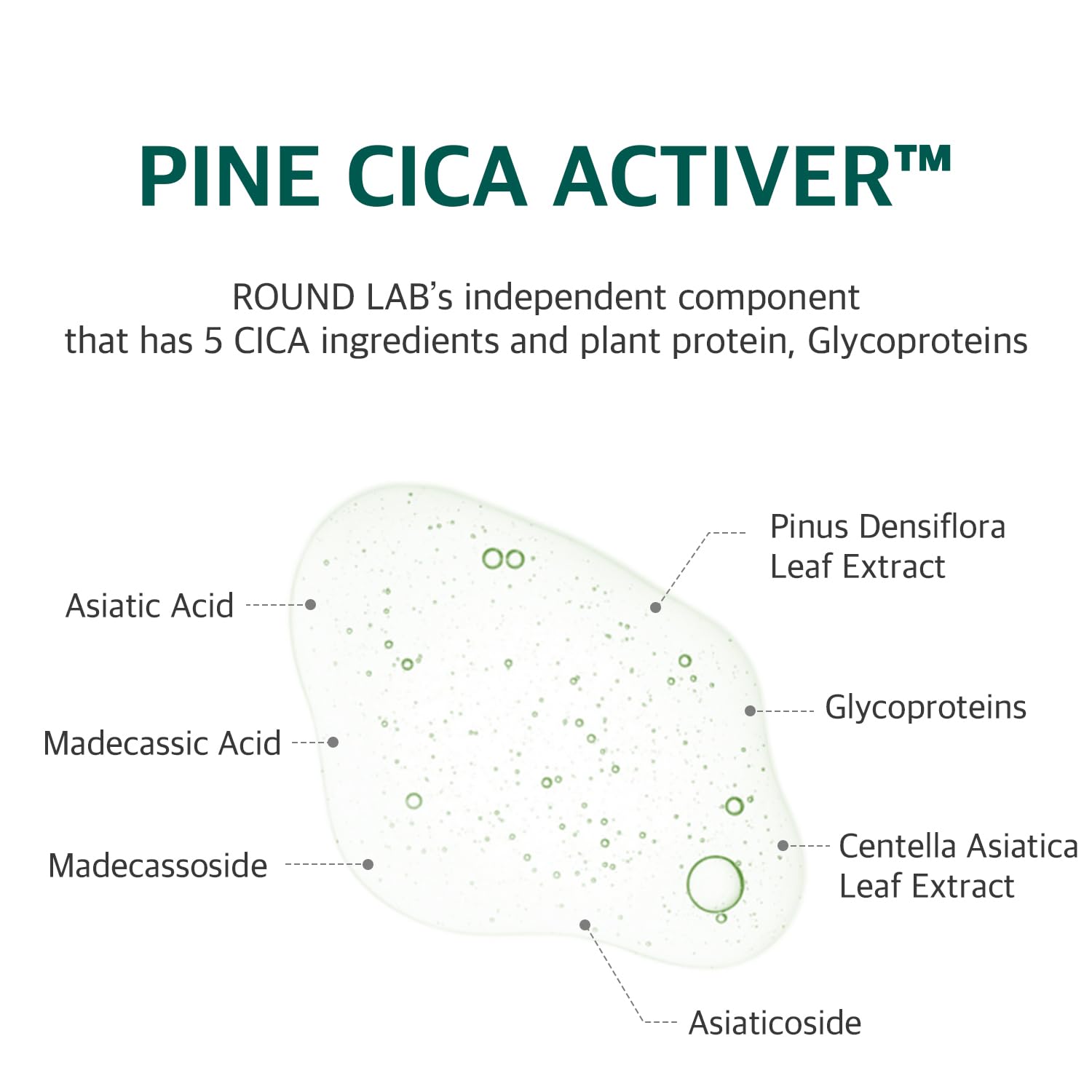 ROUND LAB Pine Calming Cica Pad ácido hialurónico de tres pesos para hidratación profunda
